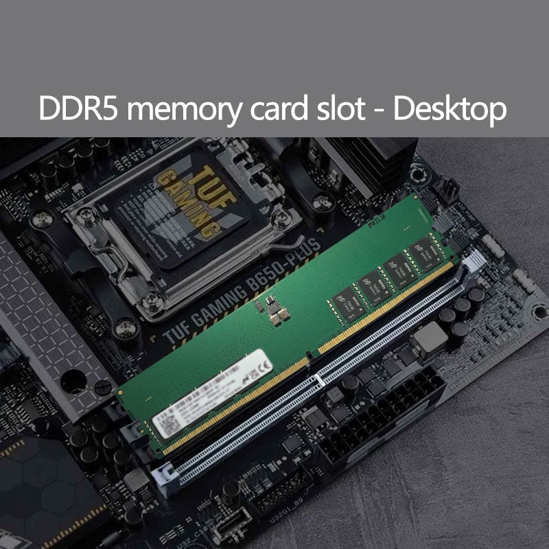 Crucial DDR5 32 GB 16 GB 4800 MHz Desktop-PC-Speicher UDIMM RAM PC5 38400 1,1 V